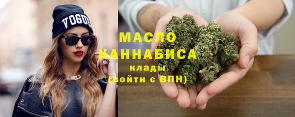 spice Инсар