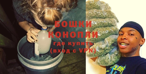 spice Инсар