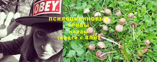 spice Иннополис