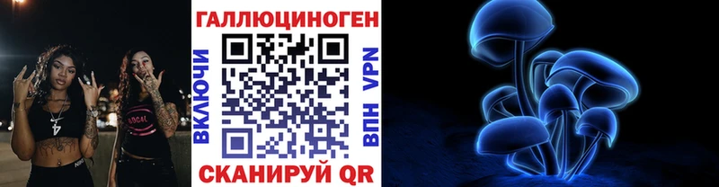 Купить где  Добрянка  Псилоцибиновые грибы Psilocybine cubensis 